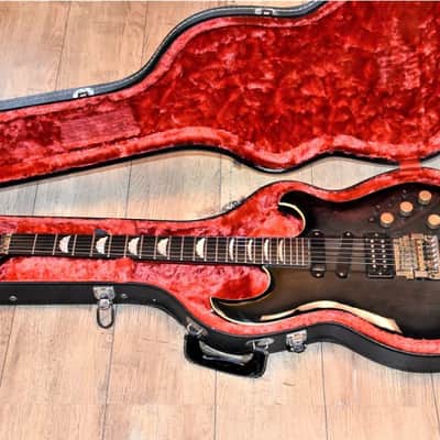 Vintage 80's Aria Pro II Hardcase for TS and RS Models image 22