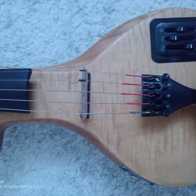 Canadian Eviolin Electric pro 5 strings Violin violon haute gamme image 5
