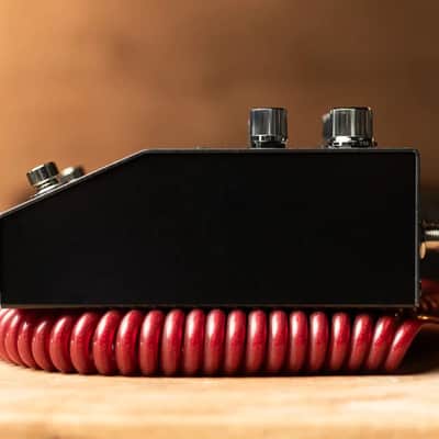 Boss RV-200 Reverb Pedal image 4