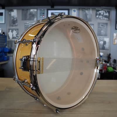 Canopus 1Ply Soft Maple 14" x 6.5" image 5