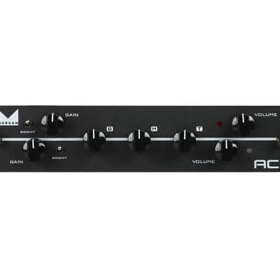 Synergy Morgan AC 2 Channel Preamp Module - Based on AC20 - Open Box image 2