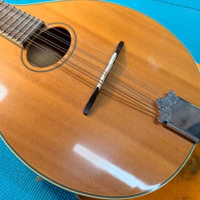 Trinity College TM-250 Celtic Mandolin – All-Solid Woods, One-Owner "Closet Classic" with Mint Original Hardshell Case image 19