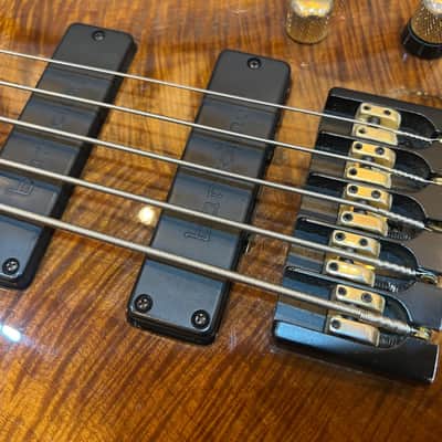 Roscoe SKB 3005 Custom 5 String Fretless Bass image 4