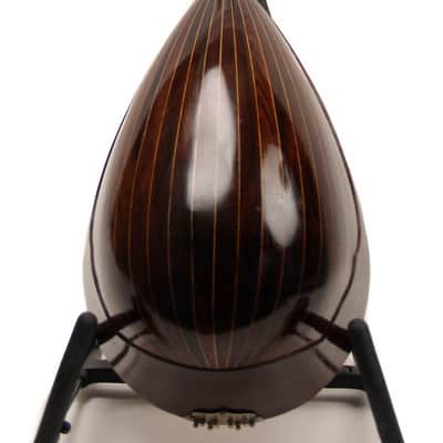 Umberto Ceccherini Bowlback Mandolin 1882 image 2
