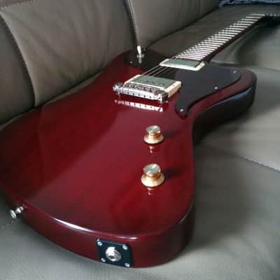 Echopark Ghetto Bird 2016 Case Study 2016 w/OHSC New Condition image 3