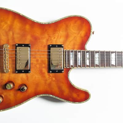 Schecter PT Custom image 3