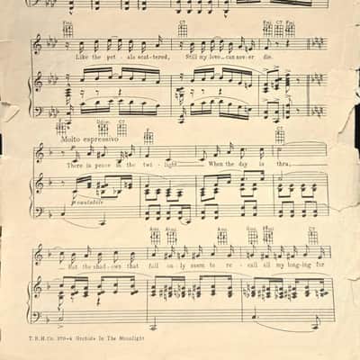 (VINTAGE/USED Sheet Music) Orchids in the Moonlight - Flying Down to Rio image 2