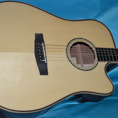 Cort MR-AS4 Acoustic Electric, Fishman Prefix Plus-T, Cort Hard Shell Case image 3