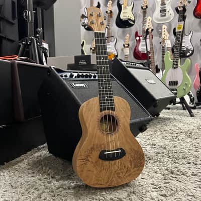 Laila UFG2311C CAT concert ukulele with cat engraving + cover image 6
