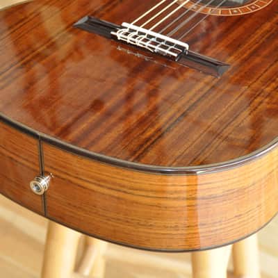 MARTINEZ MP14 OV Ovangkol / Classical Nylon Crossover / With Built-In Chorus & Reverb image 5