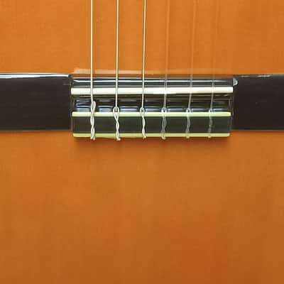 Washburn C5CE Acoustic Electric Classical Guitar - Electric Amber image 4