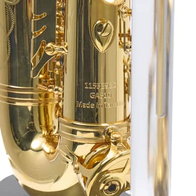 Giardinelli by Eastman GAS10 Alto Saxophone in Gold Lacquer SN 11533980 image 17