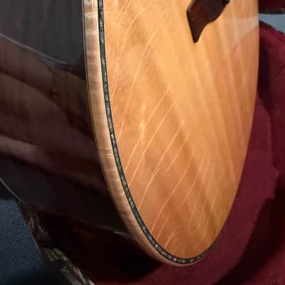 PRS Angelus Private Stock 2010 Steve Fischer image 15