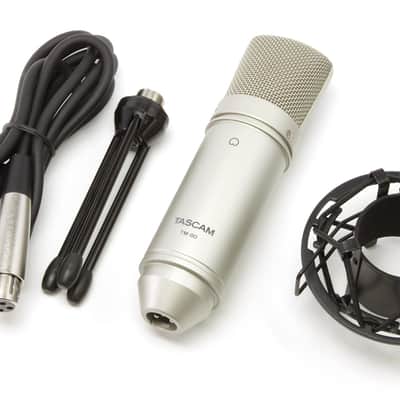 TASCAM TM-80 2020's - Silver image 1