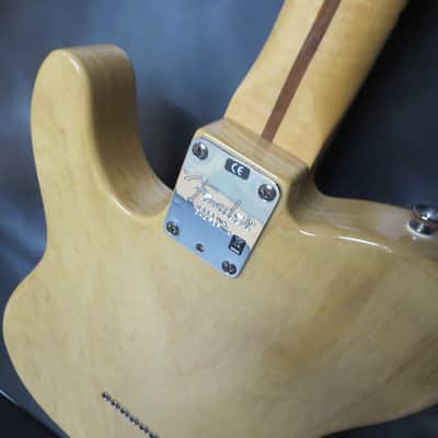 Fender Telecaster image 6