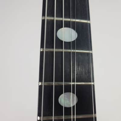 2009 Alembic Darling - Zebrawood With OHSC image 10