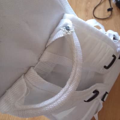 Immagine Epiphone Galaktikon Gig Bag Brendon Small Flying V - 2