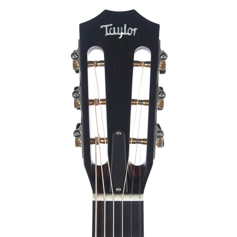 Taylor 322e 12-Fret Tasmanian Blackwood image 6