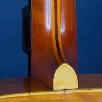 Epiphone Triumph 1944 / Here's Your Stardust Melody! image 8
