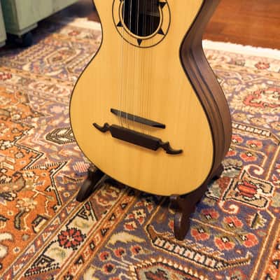 Artimúsica Traditional Luthier 10 String "Viola de Arame" Madeira image 13