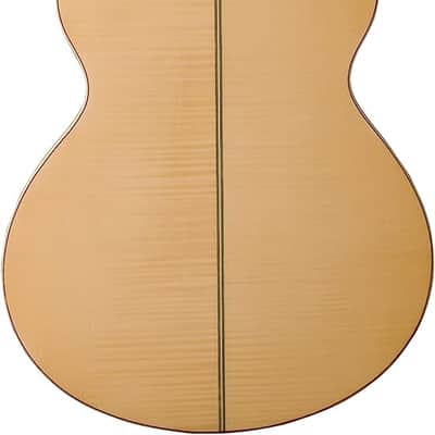 Washburn Flame Maple Mini Jumbo Acoustic-Electric Guitar image 3