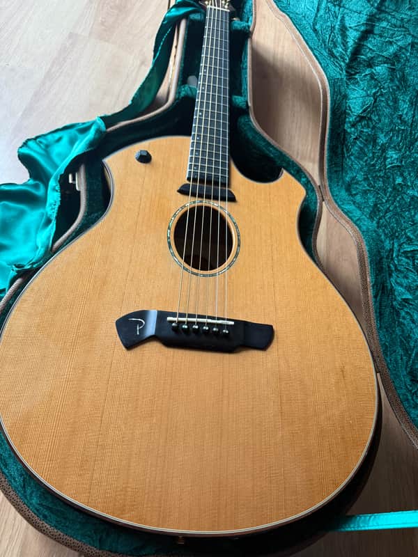 Parker P8E-N acoustic with case US CUSTOMERS TARIFF FRES ARE iNCLUDED IN SHIPPING COST AND PREPAID. image 1