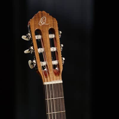 Ortega R200SN Traditional Series Cedar Top Mahogany Neck Nylon 6-String Classical Acoustic Guitar w/Gig Bag image 20