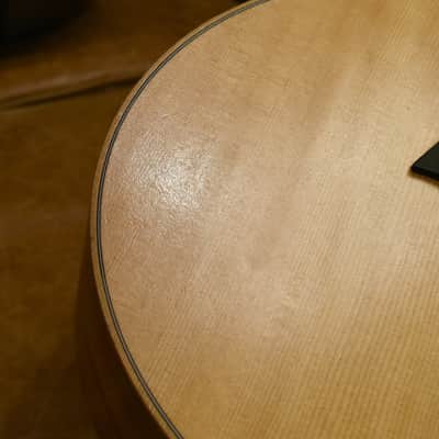 Taylor GS-Mini-E Rosewood image 16