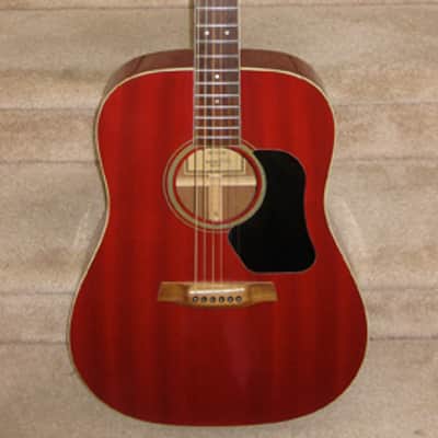 Walden D351SR Acoustic Dreadnought Guitar image 1
