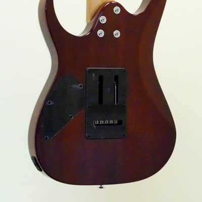 Ibanez Gio RG220PA1 Electric Guitar Trans Brown Black Burst image 6