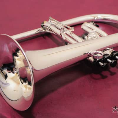Brasspire Unicorn BPFG-850BS Black Nickel Trim (NEW) Flugelhorn image 2