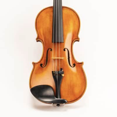 D Z Strad Viola - Model 700 - Handmade Viola Outfit-- handmade by prize winning luthiers image 1