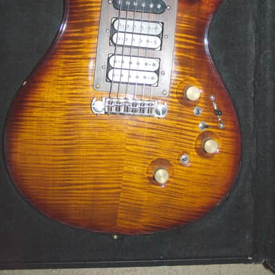 PRS P24 2012 Black Gold Wrap Around - Modified Jerry Garcia Tiger Electronics OBEL image 2