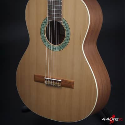 Paco Castillo 201 M Matte Finish Classical Guitar image 3