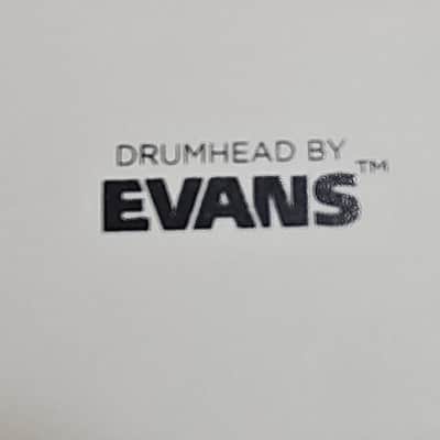 Evens 14" Coated Drum Head w/ Ludwig Logo image 3