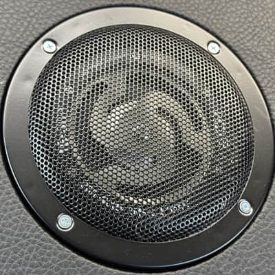 2024 Eich Amplification - TB250 Sub Bass mit Bass Board S - ID 5859 image 4