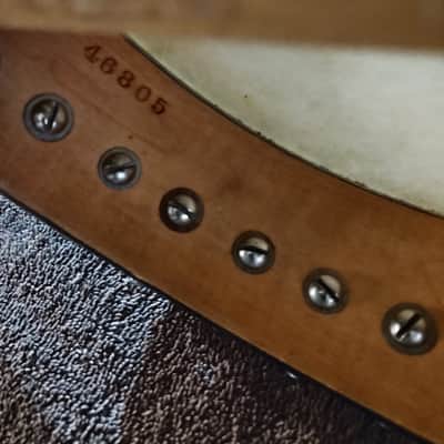 Vega Little Wonder Banjo Mandolin 1920 image 14