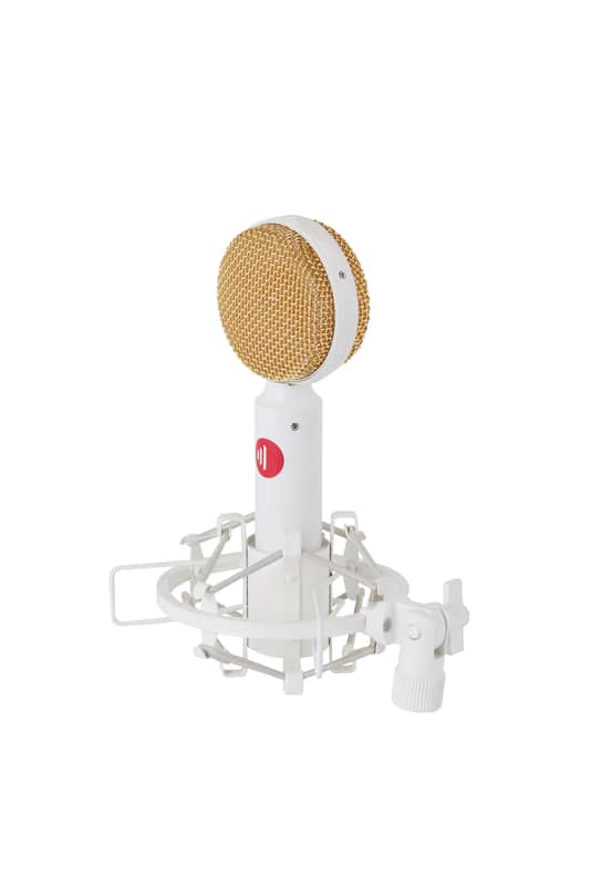 DS-65 Large Diaphragm Condenser Microphone White image 1