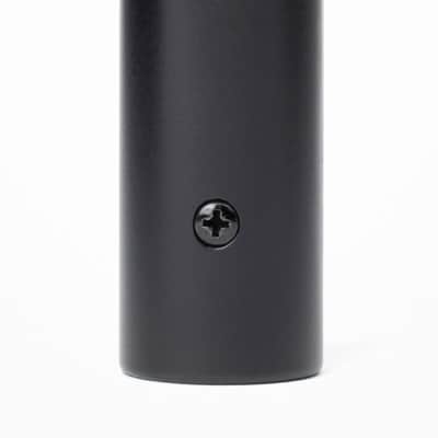 (Mint) Warm Audio WA-19 Dynamic Studio Microphone - Black image 2