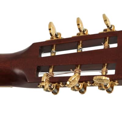 Santa Cruz PJ Custom Mahogany 1998 image 5