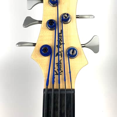 Roscoe Century Standard 5st. Fretless 2010s - Sunburst Matte image 5
