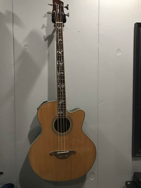 Waterstone Acoustic Bass guitar image 1