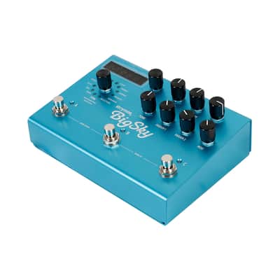 BigSky Multidimensional Reverb Strymon image 4