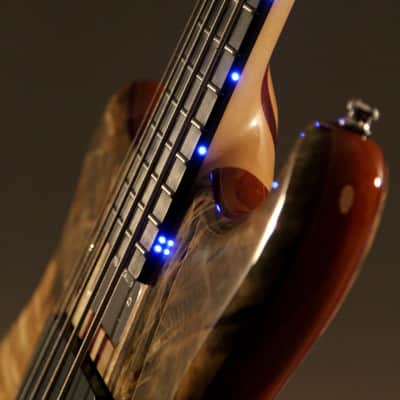 2016 Left-Handed Alembic Mark King 5 Deluxe Buckeye Burl ~Side LED's~ image 7