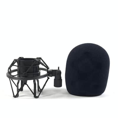 Behringer B-1 Large Diaphragm Cardioid Condenser Microphone 2001 - Present - Nickel image 8