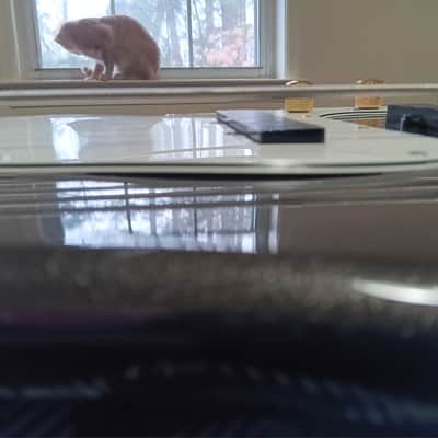 Squier Standard Precision Bass Special V 2001 - Sherwood Green image 9