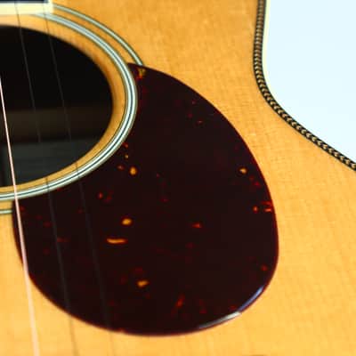 Santa Cruz 00-Skye Acoustic Guitar - designed in collaboration with the jazz guitarist Eric Skye image 13
