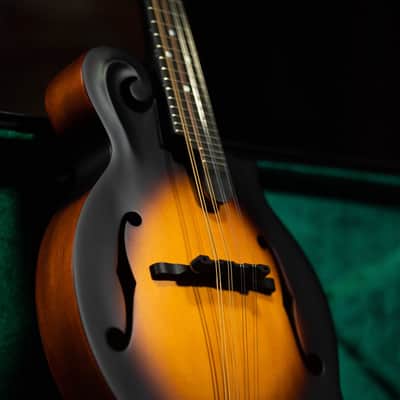Washburn American Series F Style Mandolin - Vintage Natural - M108SWK-D-U image 3