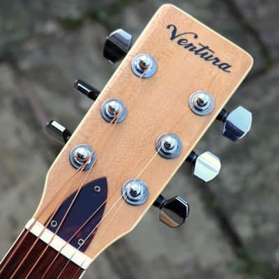 Rare Old Ventura MIJ All Maple (Matsumoku or Suzuki Factory) image 11