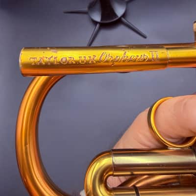 Taylor Orpheus II 2000’s - Gold Lacquer image 5